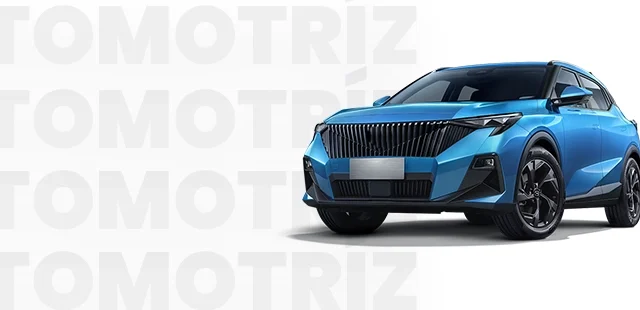 Categoria-automotriz