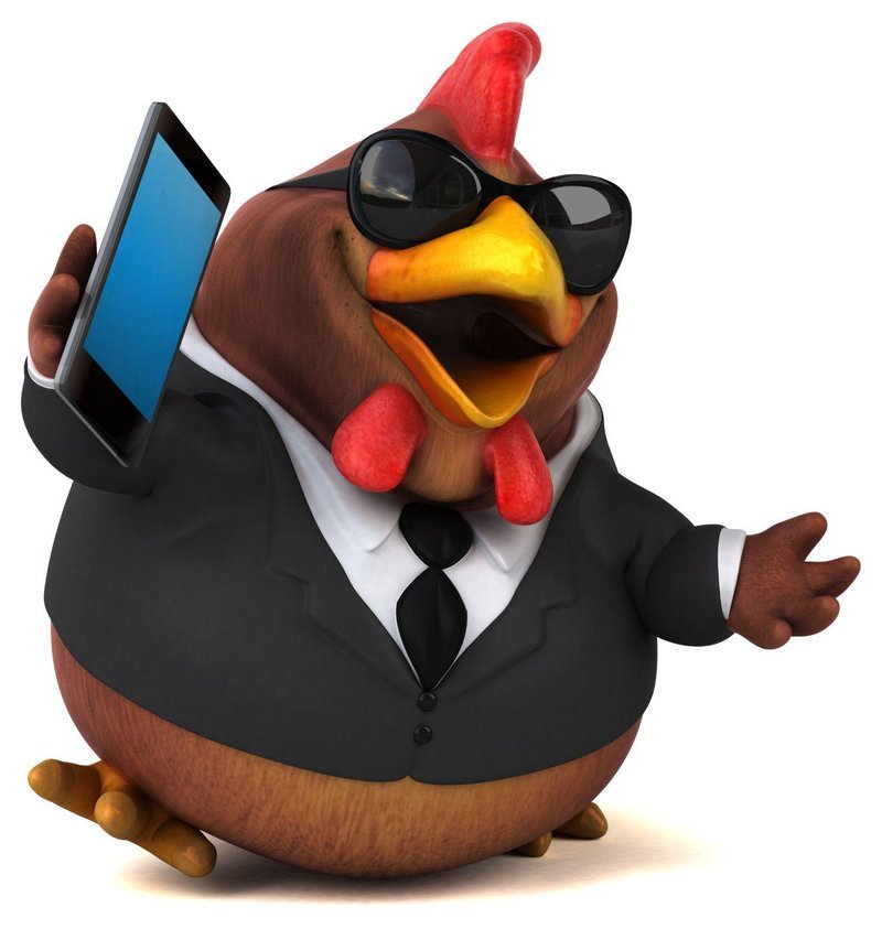 Le jeu de le poulet à France